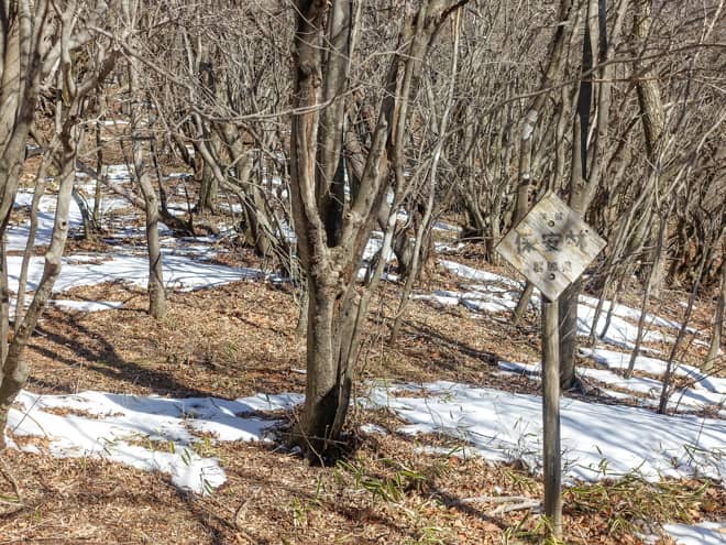 登りきった先には、一面雑木林