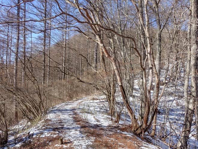 足場の悪い登山道を登りきると