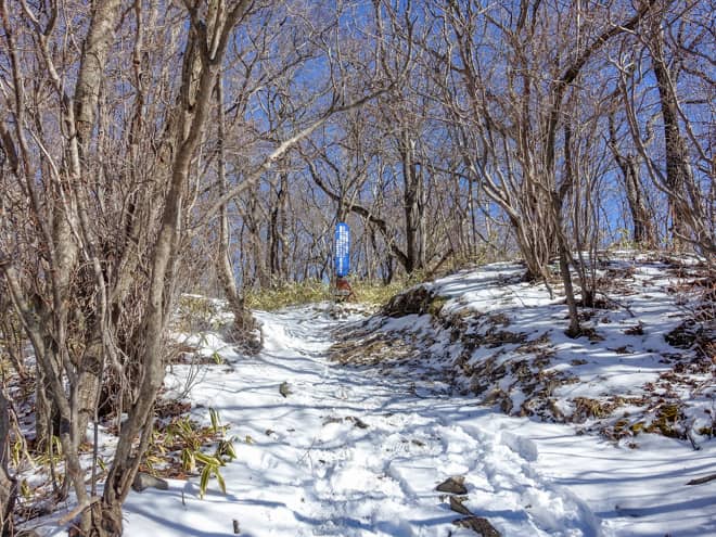 距離は短いのですが、果てしなく登りが