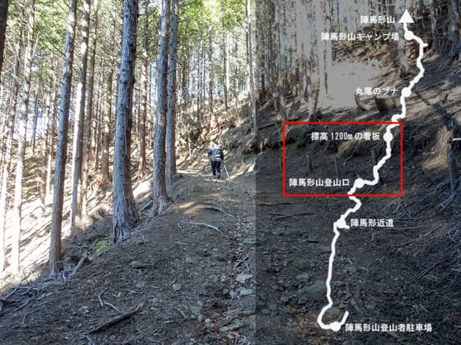 陣馬形山登山口→標高1200mの看板