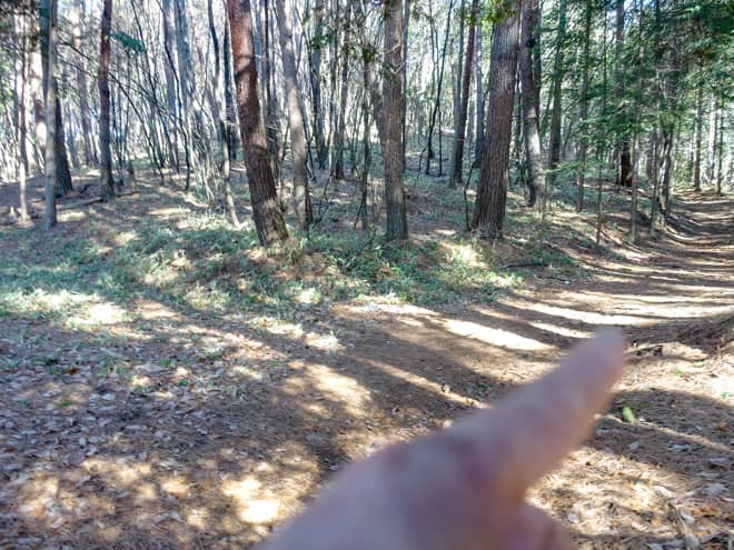 陣馬形山4Km看板から先はトラバース
