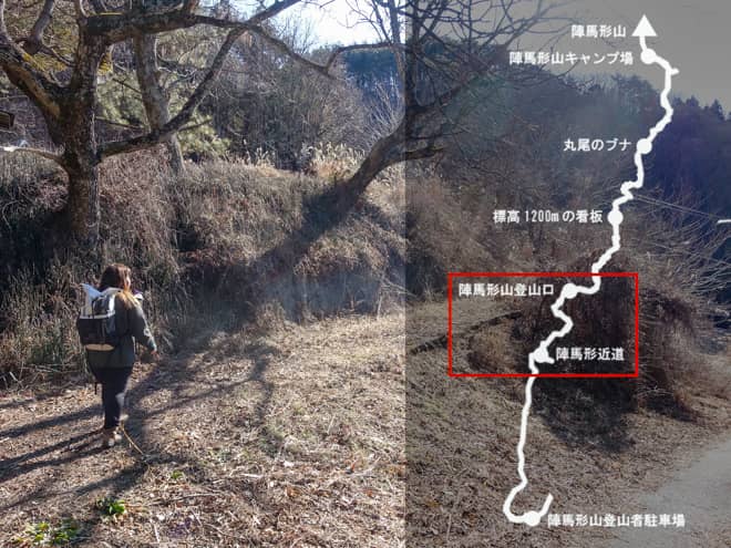陣馬形近道→陣馬形山登山口