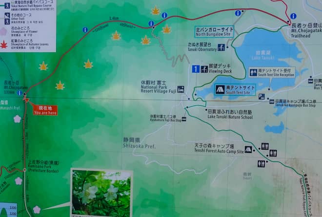 「長者ヶ岳」登山コース