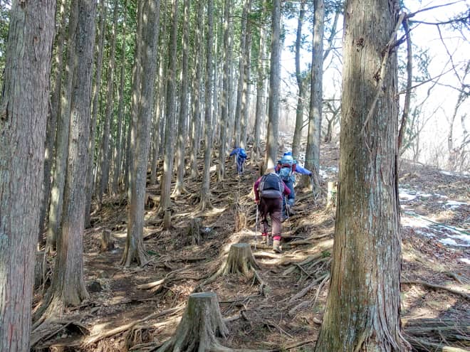 とはいえ、この区間の大半は