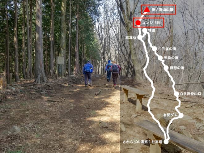 ゴンジリ峠→棒ノ折山山頂