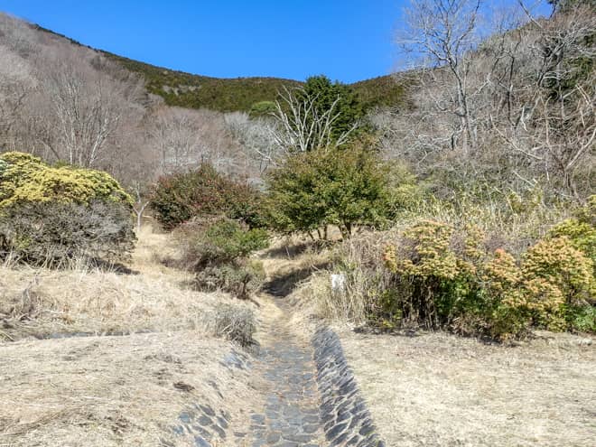 バンガローサイトがあった場所を