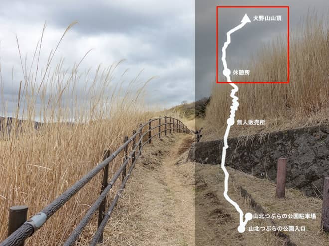 休憩所→大野山山頂