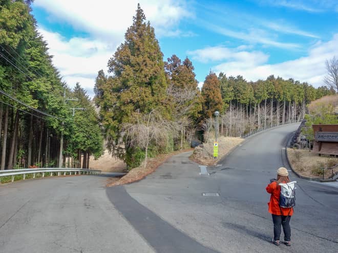 公園を出ると3つの分岐があります