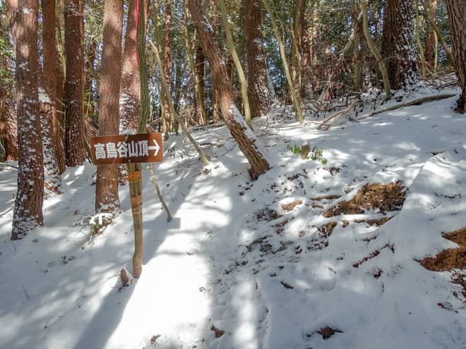 出だしは比較的緩やかな道のりなのですが