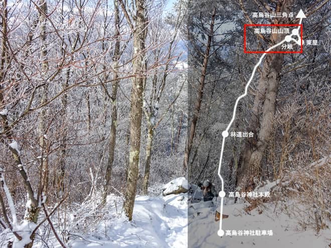 分岐→高烏谷山山頂