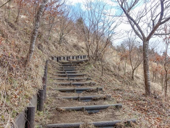 前半は急こう配ですが、つづら折りになっていて
