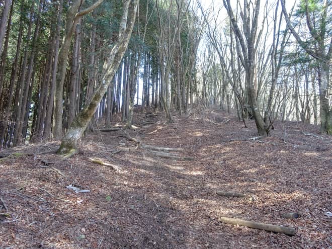 勾配がある場所にはしっかりと階段が整備されています