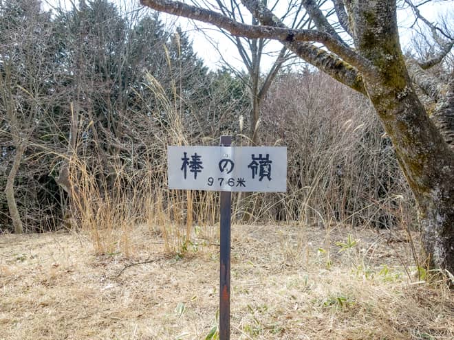 南側は木々に覆われて展望はありません