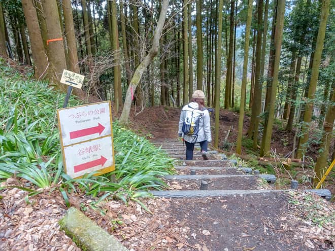 大変整備された登山道のお陰で