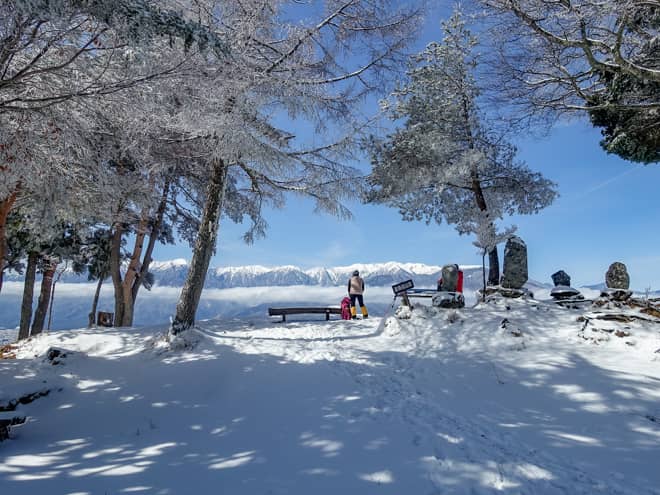山頂は大変広く