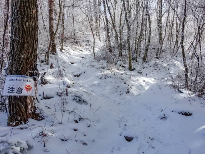 山頂手前で分岐に到着します