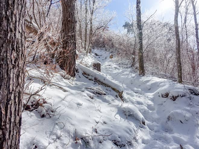 左手に進むと直接山頂へ行くことが出来ます