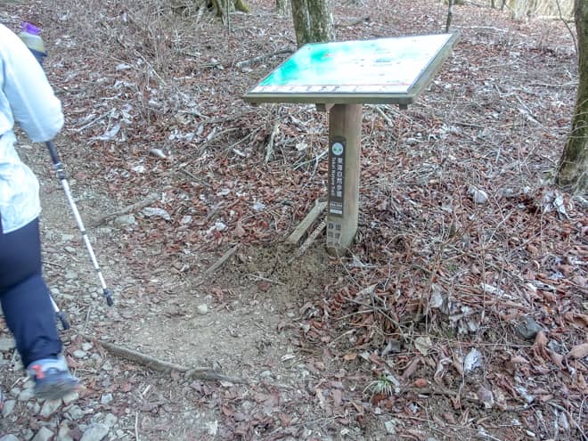 案内標識に到着です。特に展望がある訳ではありませんが