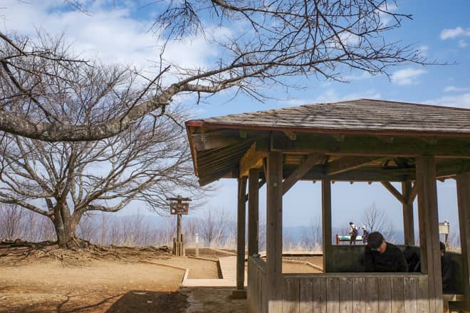 桜の満開に合わせてチャレンジしたい山