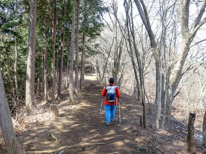棒ノ折山は、全体的に急登続き