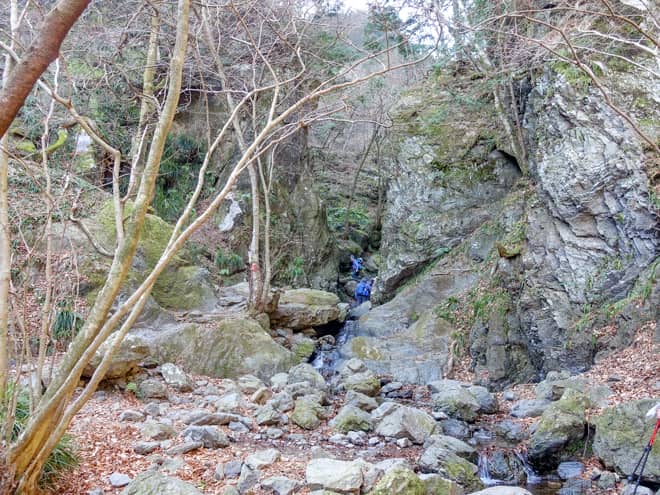 段々と岩がゴツゴツとした道になり