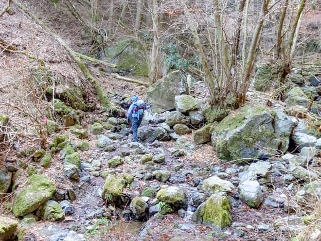 段々と岩の険しさが無くなるにつれ