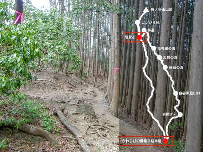 滝ノ平尾根→さわらびの湯第3駐車場