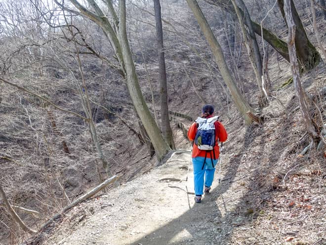 物凄く大変な急坂なのですが