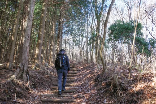 登山道は長距離自然歩道「東海自然歩道」