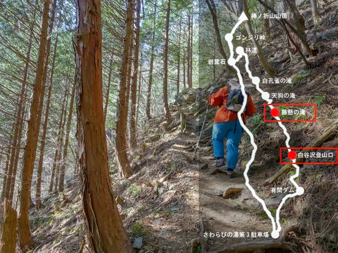 白谷沢登山口→藤懸の滝