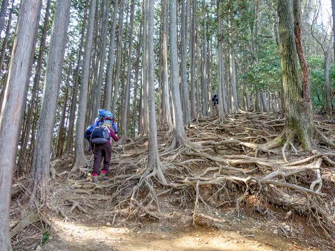 第二のステージは