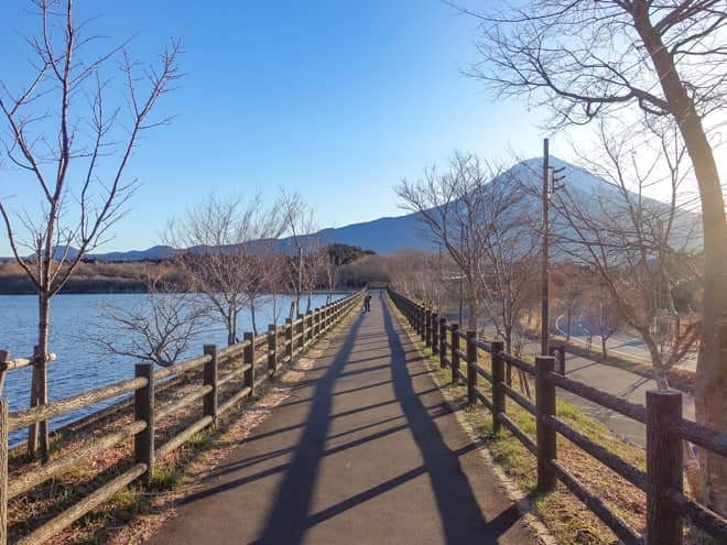 長者ヶ岳登山では、田貫湖周辺に