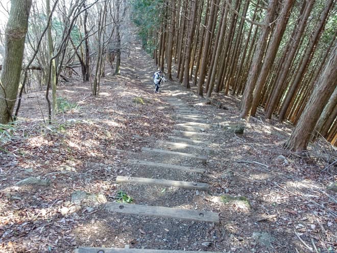 長距離自然歩道「東海自然歩道」だけあって