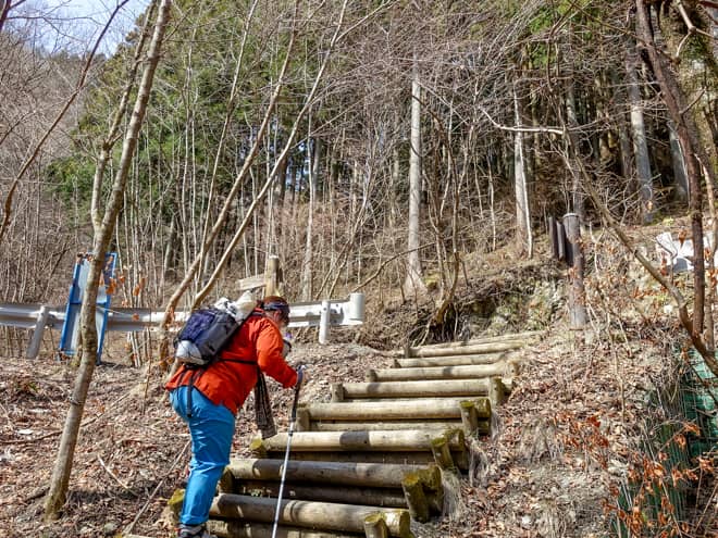 階段を登りきると林道が見えてきました