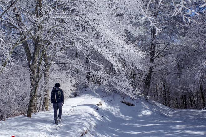 高烏谷山三角点までは平坦な道のりで