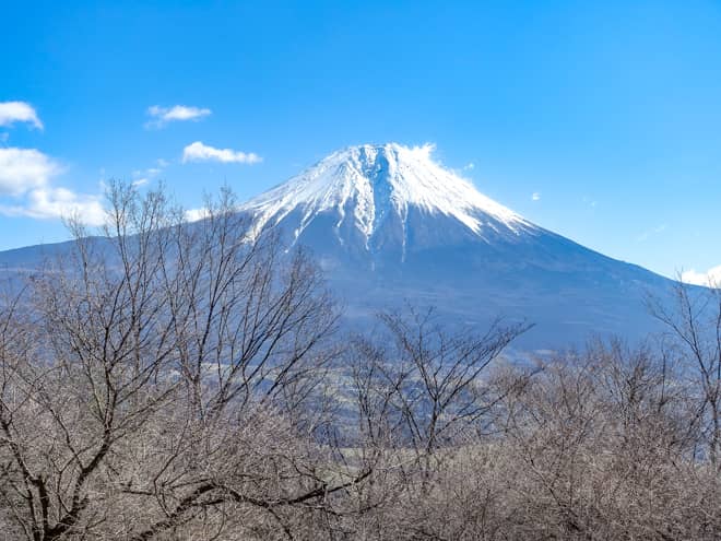1つ目の展望スポットからは富士山どーんです