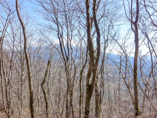 3つ目の展望スポットに到着です