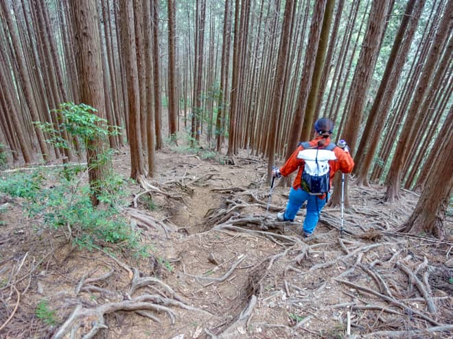 3つ目の林道と合流するポイントから先は