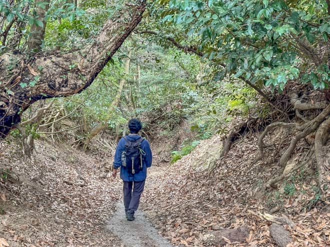 「初心者におすすめの山」は鵜呑みにしていいの？