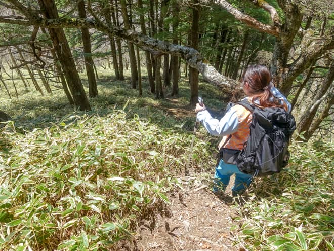 あまりにも荒れた急斜面なので