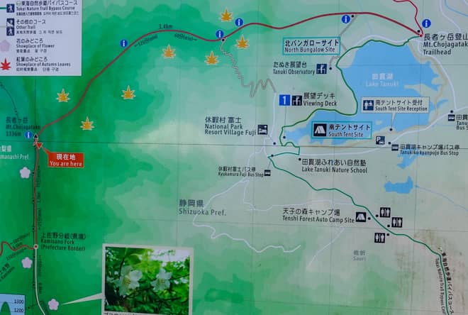 お勧めの登山コース長者ヶ岳