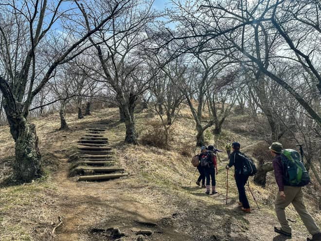お花見登山が出来る山として人気ですが