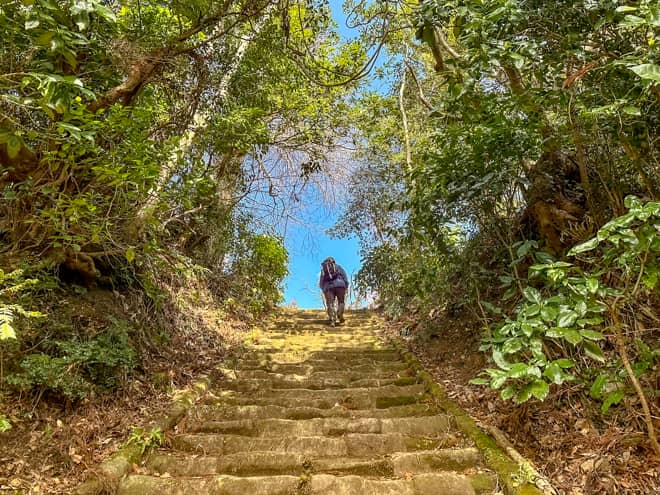 この区間を歩いた感想は前回と同じで