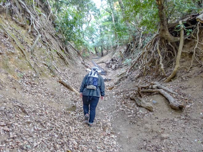 この区間を登った感想は前回と同じで