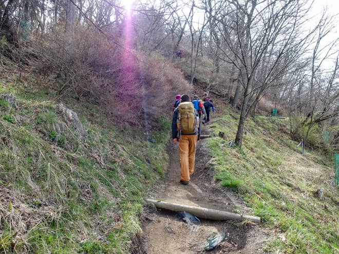 さくらコースは登山道が大変整備されていて