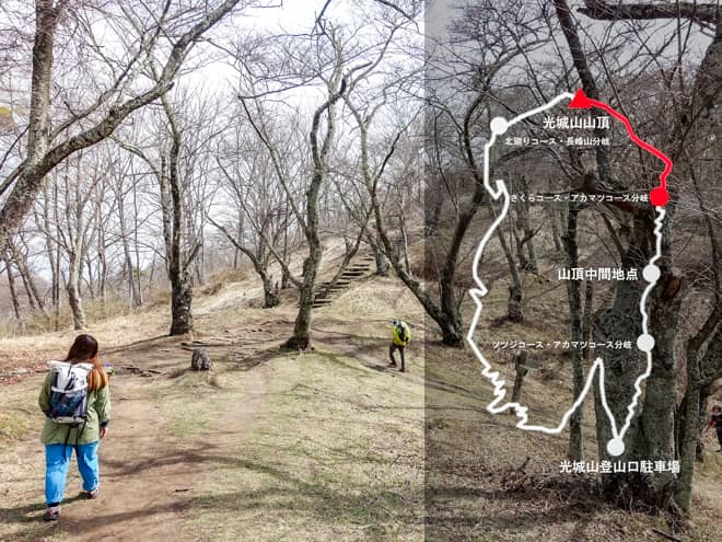 さくらコース・アカマツコース分岐→光城山山頂