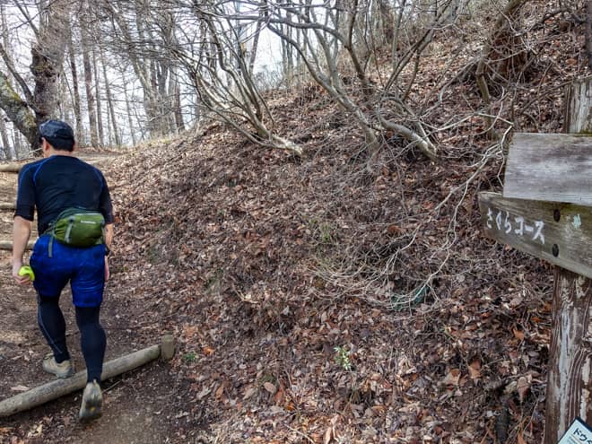 さくらコース・アカマツコース分岐に到着です