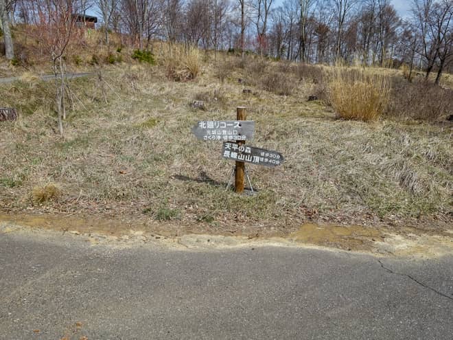 アスファルトで整備された道を進むと