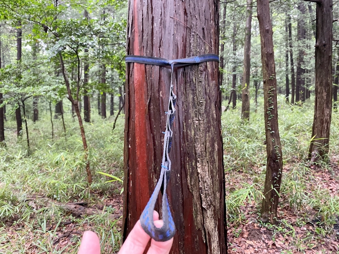 デイジーチェーン