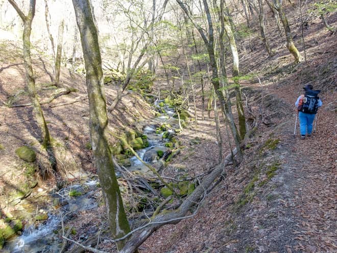 トラバース（山の斜面を横方向に移動すること）気味に登山道が続く